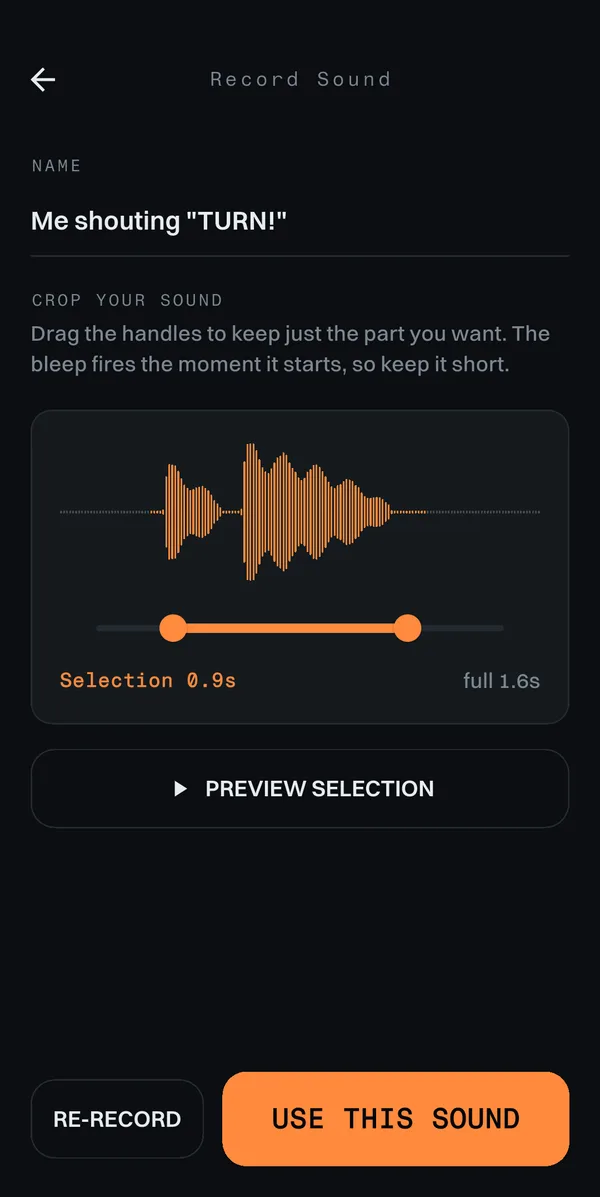 The 20 Metres Record Sound screen, recording a custom cue